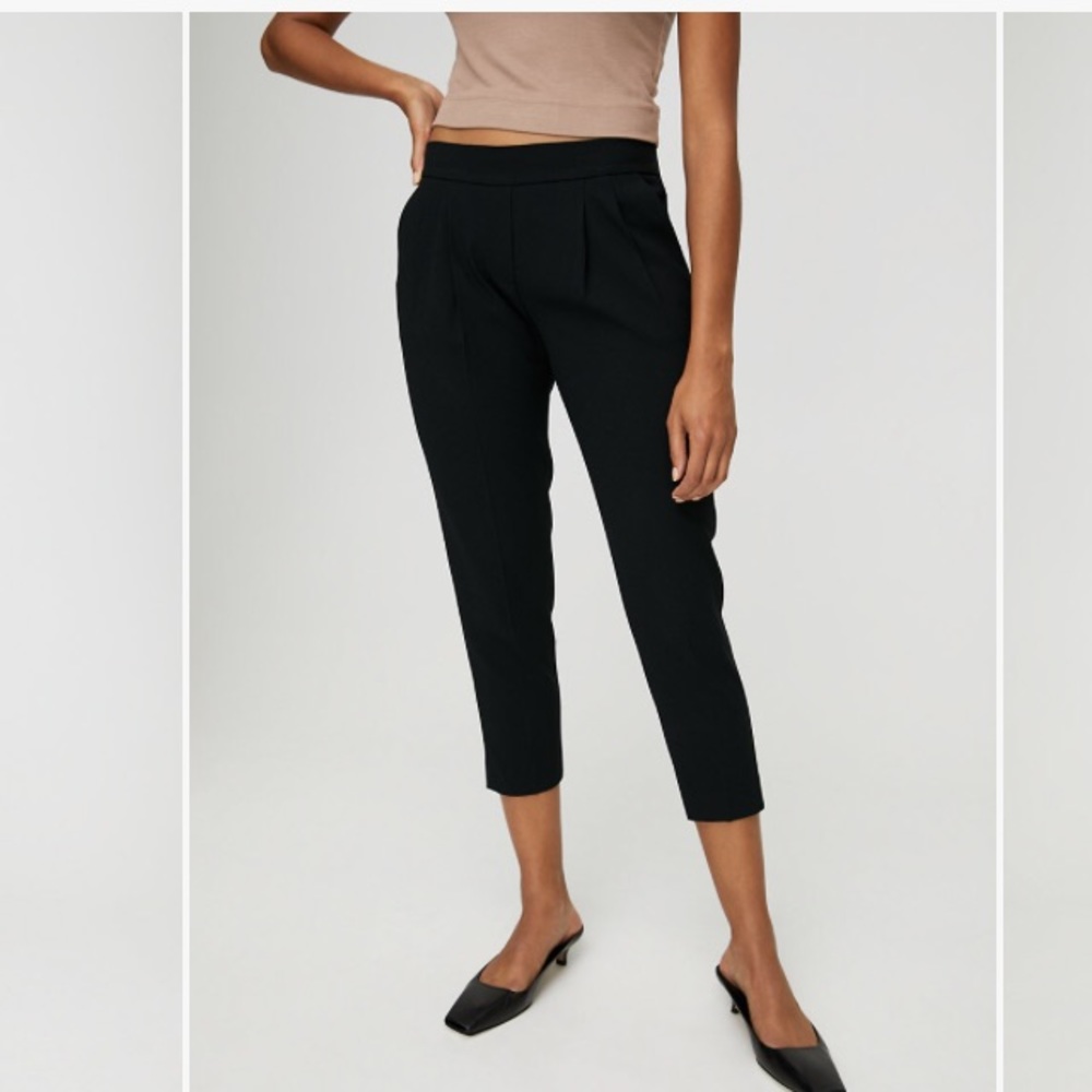 Aritzia Babaton Cohen Pant Terado